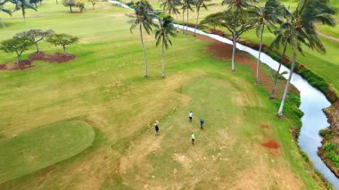 Dört sporcu geniş alanda golf oynuyor. Palmiye ağaçları ve dar derenin aktığı golf sahasına hava perspektifi. Honolulu, Hawaii, ABD.