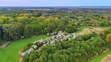 Yeşil kırsal bölgedeki doğal yeşil park. Hollanda 'nın güzel doğası, yukarıdan bakıldığında. Arka planda hava türbinleri.