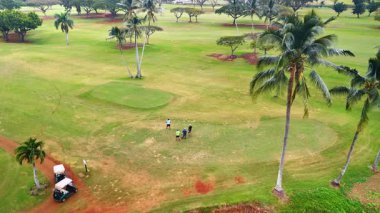 İnsanlar palmiye ağaçlarıyla tarlada dikiliyorlar. Honolulu, Hawaii, ABD 'de golf sporu. Hava görünümü.