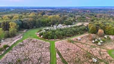 Patikalarla dolu bir park. Çiçek açan ağaçlar, dolambaçlı yollar ve akşam erken saatlerde çeşitli yeşilliklerin yer aldığı bir doğa parkının havadan görünüşü..