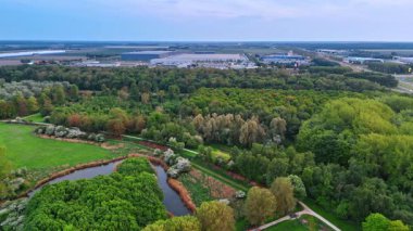 Şehir yeşilliği keşfi. Hava manzaralı canlı ağaçlar, dingin bir gölet ve açık bir öğleden sonra boyunca uzak bir şehir alanı..