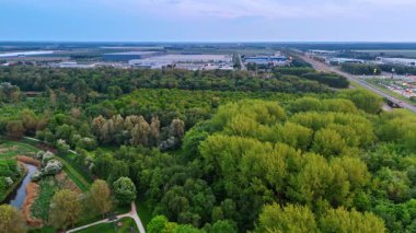 Kentsel bahar ormanı bereketi. Canlı bir orman şehrin kıyısında gelişir, berrak bir bahar gökyüzünün altında zengin yeşillikler sergiler..