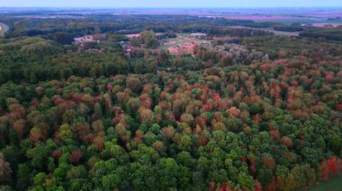 Sonbahar alacakaranlığı sırasında orman manzarası. Alacakaranlık dingin bir orman manzarasına çöktüğünde renkli ağaçlar yeşilden sıcak renklere dönüşür..