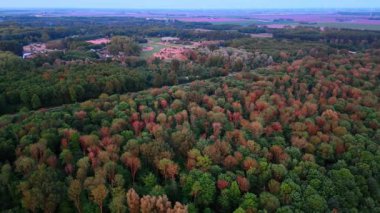Ormanda sonbahar renkleri. Ağaçlar turuncu ve kırmızı tonlara geçerken, dingin bir vadiye bakan, canlı sonbahar renkleri ormanı doldurur..
