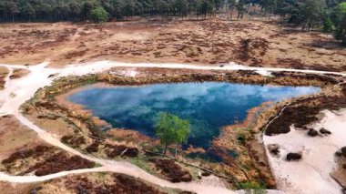 Temiz bir gölet. Sakin bir gölet, güneşli bir günde, sakin bir doğal ortamda gökyüzünü ve ağaçları yansıtır..