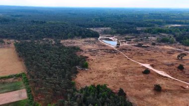 Sakin doğa manzarası. Huzurlu bir manzara, açık mavi gökyüzünün altında yemyeşil ormanları ve açık arazileri gözler önüne seriyor, doğal güzellikleri seriyor..