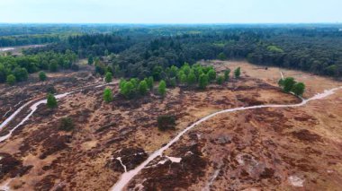 Bereketli bir manzaranın manzaralı havası. Yeşillik ve dolambaçlı yollar güzel bir manzara yaratır, sakin bir ortamda doğanın sükunetini gösterir..