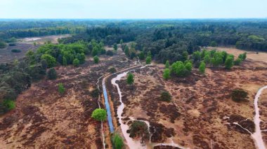 Yeşil ormanda dolambaçlı bir nehir. Bereketli yeşilliklerle ve mavi gökyüzünün altındaki geniş alanlarla çevrili dolambaçlı bir nehri olan sakin bir manzara..
