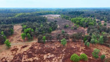 Ağaçlar ve açık arazi sahneleri. Yeşil ağaçların ve kahverengi tarlaların bulunduğu geniş bir ormanın havadan görünüşü ilkbaharda doğal güzellikleri gözler önüne seriyor..