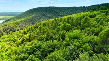 Avrupa 'da yemyeşil tepeler. Verdant Hills, açık mavi gökyüzünün altında Avrupa 'nın doğasının güzelliğini gözler önüne serer..