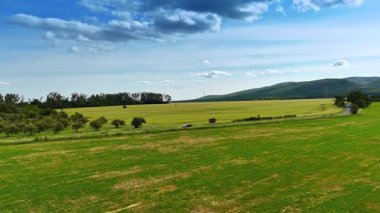 Mavi gökyüzünün altında geniş yeşil alanlar. Parlak mavi gökyüzünün altındaki yeşil alanlar kırsal Avrupa 'nın güzelliğini gözler önüne seriyor..