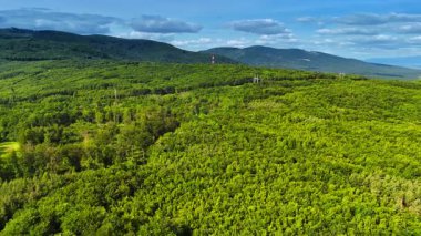Avrupa 'nın bereketli yaz tepeleri. Geniş yeşillik, Avrupa 'da tipik sakin bir yaz günü olan berrak mavi gökyüzünün altındaki yuvarlanan tepeleri kapsıyor..
