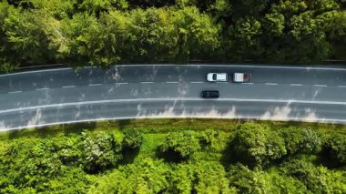 Yeşillikten geçen manzaralı bir yol. Avrupa 'da yoğun ağaçlar ve canlı yapraklarla çevrili dolambaçlı bir yolda ilerleyen bir araç.