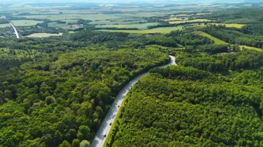 Yeşillik ormanlarda dolambaçlı yol. Arabalar açık gökyüzünün altında dolambaçlı yol boyunca ilerlerken yeşil ormanların içinden bir yol uzanıyor..