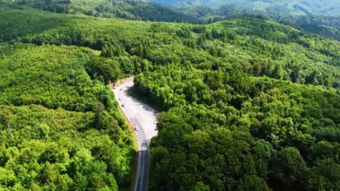 Yeşil yemyeşil ormanlarla kaplı muhteşem dağlık bölge. Arabalar ormandaki otoyola gider. Hava görünümü.