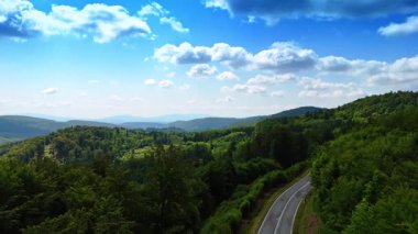 Bereketli yeşillik kayalık araziyi kaplıyor. Güneşli bir günde Tatra Dağları üzerinde insansız hava aracı görüntüleri.