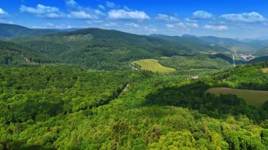 Yuvarlanan tepeleri olan yemyeşil bir manzara. Parlak yeşillik, açık mavi gökyüzünün altındaki yuvarlanan tepeleri kaplıyor. Gündüz vakti, renkli kırsal bir bölgede..