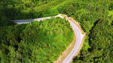 Bereketli yeşil ormanda dolambaçlı bir yol. Manzaralı, dolambaçlı bir yol yoğun yeşillikler arasında kıvrılır, açık gökyüzü altında doğanın güzelliğini ve sükunetini gösterir..