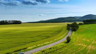 Yeşil kırsalda araba sürüyorum. Bir araba dolambaçlı bir yolda, yemyeşil bir arazide, berrak mavi bir gökyüzünün altında, uzak dağlarla seyahat eder..