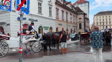 Viyana, Avusturya - 9 Haziran 2025: Atları ve arabaları hortumla yıkayan adam. Avusturya, Viyana 'daki eski kasabanın yanından geç..