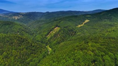 Açık mavi gökyüzünün altındaki engin yeşil tepeler. Bereketli yeşil tepeler, parlak mavi gökyüzünün altında uzanır, sakin bir ortamda doğanın güzelliğini gösterir..