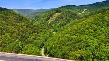 Bereketli yeşil tepelerin nefes kesici manzarası. Panoramik bir manzara, berrak mavi gökyüzünün altındaki canlı yeşil tepeleri, doğa aşıklarını güzelliğini keşfetmeye davet ediyor..