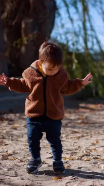 Sevimli küçük çocuk nehir kıyısında bir şey aramak için yürüyor. Güneşli bir sonbahar gününde doğada sevimli bir çocuk. Dikey video