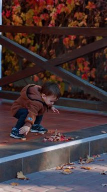 Kuru sonbahar yapraklarıyla oynayan sevimli beyaz bir bebek. Sevimli çocuk verandadan aşağı atlıyor. Dikey video