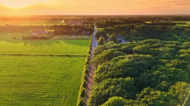 Yeşil kırsal bölgede gün batımı. Altın güneş ışığı, yuvarlanan yeşil tarlaların ve dolambaçlı bir yolun üzerine ılık bir parıltı saçar..
