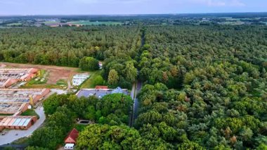 Orman kenarındaki yeşil arazi. Geniş bir orman yol boyunca uzanır, canlı ağaçlar ve gün ışığında açık bir alan sergilenir..