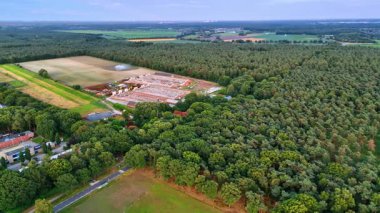 Kırsal orman manzarası. Kırsal kesimde açık bir gökyüzünün altında sık ağaçlarla çevrelenmiş bir bina kümesini çevreleyen geniş yeşil alanlar..