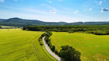 Yeşil tarlalardan geçen manzaralı bir yol. Dolambaçlı bir yol, uzak tepeler ve ağaçlarla çevrili, açık mavi bir gökyüzü altında yemyeşil çayırlarda kıvrılır..