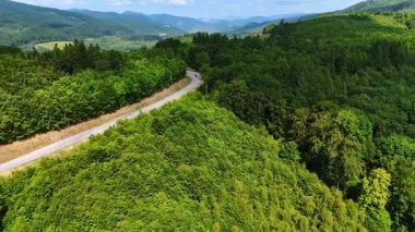 Ormanın içinden geçen sarmal dağ yolu. Kıvrımlı bir yol, açık mavi gökyüzünün altında yoğun ormanlarla çevrili canlı yeşil tepeleri kesiyor..