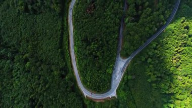 Yeşil ormanda dolambaçlı yol. Dolambaçlı bir yol yemyeşil bir ormanın içinden geçer, doğanın güzelliğini ve gün ışığında huzurlu bir ortamı gösterir..