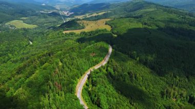 Dönek orman yolu hava manzarası. Sarmal bir yol, güneşli bir günde, dağlık bir arazide yemyeşil ormanların arasından geçer..