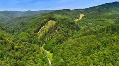 Yuvarlanan yeşil tepeler manzarası. Canlı yeşil tepeler manzara boyunca uzanıyor, yoğun ağaçlar ve yukarıda açık mavi bir gökyüzü sergileniyor..