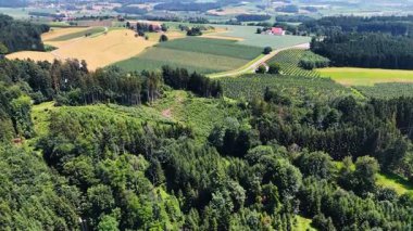 İnsansız hava aracı, çam ağaçlarının üzerinden çiftliklere yaklaşıyor. Arkaplanda güzel kırsal alan.