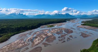 Sığ nehrin üzerinde kumlu zeminle uçuyor. Arkaplanda dağlarla çevrili engin yeşil ormanlar. Alaska 'nın vahşi doğası.