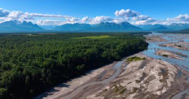 Kalın çam ağaçları sığ nehir deltasının etrafını sarar. Pofuduk bulutların altındaki çarpıcı dağlar. Alaska havası.