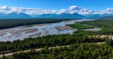 Muhteşem dağlarla çevrili kocaman yeşil bir orman. Sığ nehir çam ağacı ormanını geçer. Alaska doğası. Hava görünümü.
