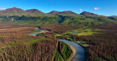 Nehir kıyısında vadiyi kaplayan kahverengi çam ağacı ağacı. Arka planda inanılmaz dağlar. Alaska 'nın vahşi doğası.