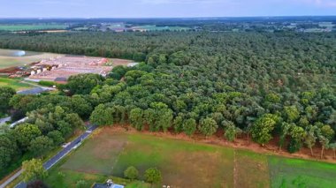 Tarla kenarındaki orman arazisi. Bereketli yeşil orman, gün ışığında sakin bir arazide ekilmiş tarlalarla buluşur ve doğanın güzelliğini gözler önüne serer..