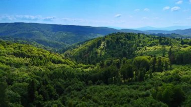 Parlak mavi gökyüzünün altındaki yemyeşil tepeler. Parlak yeşillik yuvarlanan tepelere yayılır, güneş ışığıyla yıkanır, açık bir günde doğanın güzelliğini gösterir..