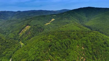 Açık mavi gökyüzünün altındaki yemyeşil tepeler. Geniş yeşil tepeler manzara boyunca uzanır, parlak güneş ışığı altında canlı bir şekilde yakalanır..