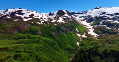 Yeşillik ve kar güzel dağların yamaçlarını kaplıyor. İnsansız hava aracı kayanın tepesine yaklaşıyor. Alaska doğası.