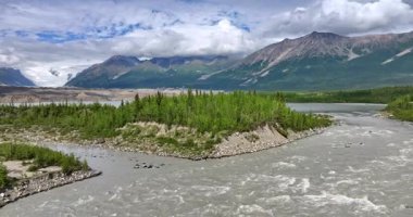 Hızlı nehrin üzerinden çam ağacına doğru uçun. Arkaplanda beyaz bulutlarla kaplı güzel dağlar. Alaska manzaraları.