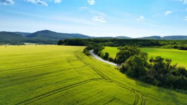 Tarlalarda dolambaçlı yol. Kırsal bir yol, açık mavi gökyüzünün altındaki tepelerle çevrili yeşil çayırların arasında dolanıyor..