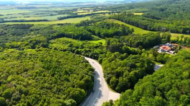 Yeşil tepelerde dolambaçlı bir yol. Bereketli ormanların ve tarlaların arasından geçen dolambaçlı bir yol güneşli bir günde huzurlu bir kır manzarası sunuyor..