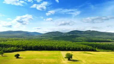 Yuvarlanan tepeler ve canlı ağaçlar. Berrak mavi gökyüzünün altında yemyeşil alanlar uzanır. Arkasında yuvarlanan tepeler ve dağınık bulutlar vardır..
