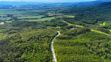 Ağaçların arasından dolambaçlı bir yol. Bereketli yeşil bir manzara, açık mavi gökyüzünün altında ormanlarla ve açık arazilerle çevrili dolambaçlı bir yolu sergiliyor..